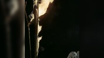 Ass and fucking blowjob with lots of sucking are part of the forced rape porn playlist.