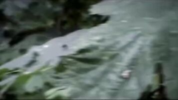 Hot girly forced into a blowjob in a porn movie with real rape xxx contents.